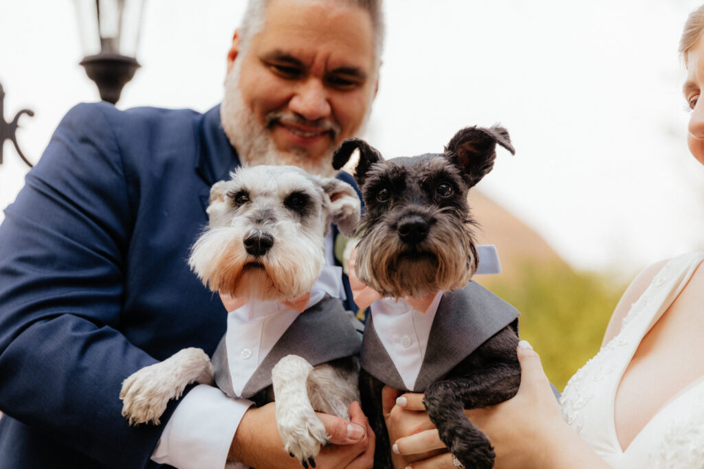 Denver Wedding Pet Attendant 