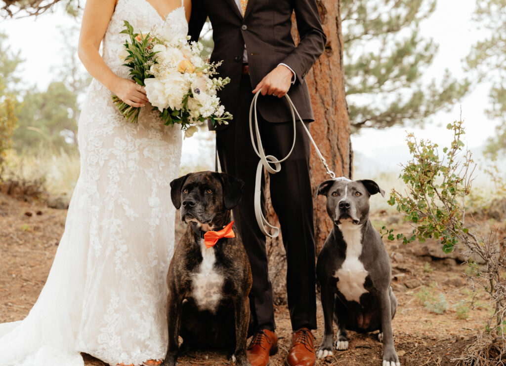 Denver Wedding Pet Attendant 