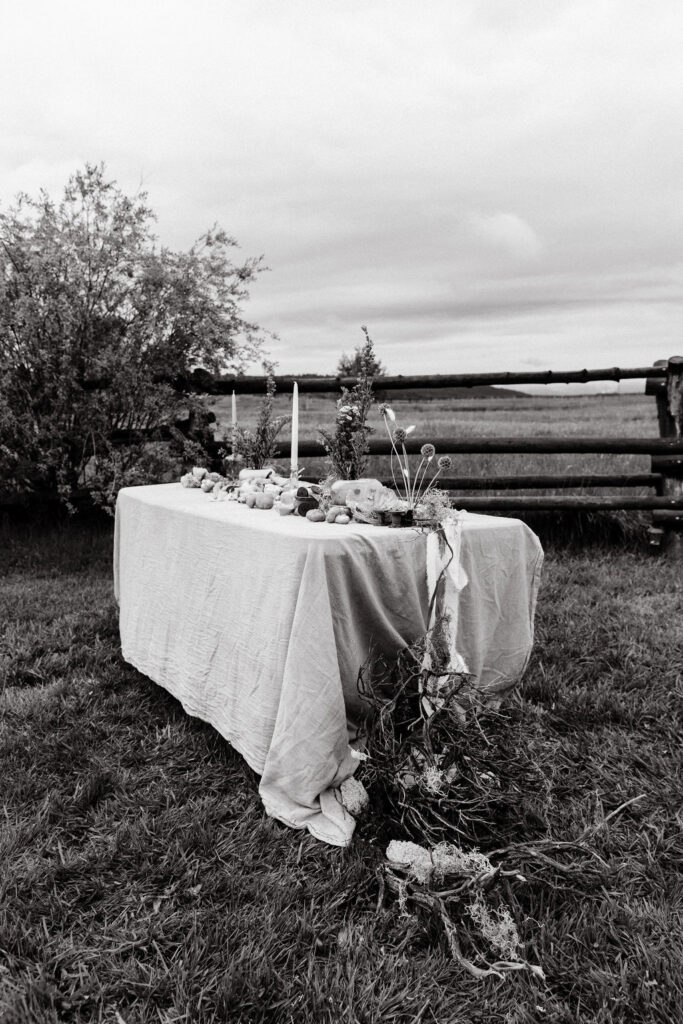 Ethereal, earthy mushroom wedding theme at Diamond Cross Ranch in Wyoming 