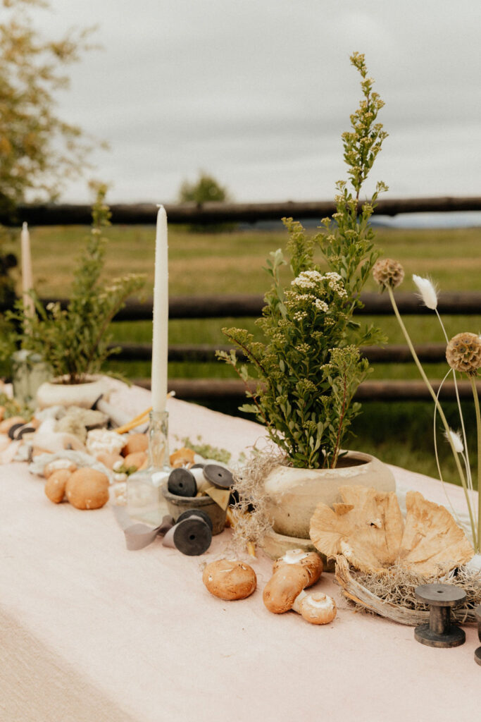 Ethereal, earthy mushroom wedding theme at Diamond Cross Ranch in Wyoming 