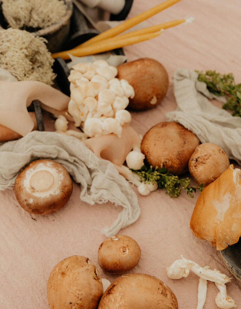 Ethereal, earthy mushroom wedding theme at Diamond Cross Ranch in Wyoming 