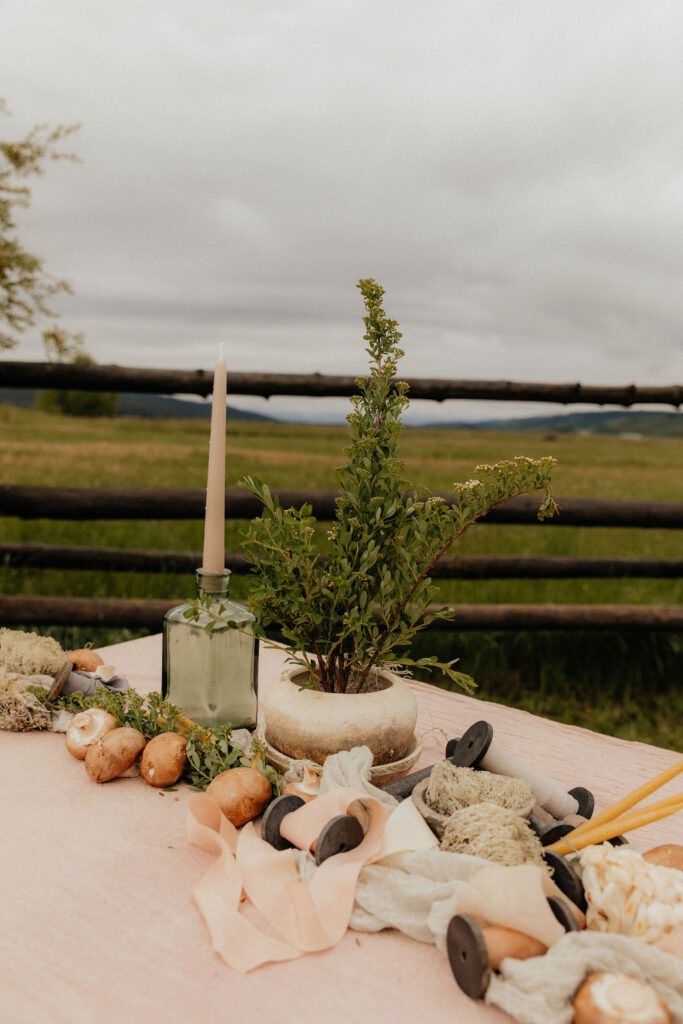 Ethereal, earthy mushroom wedding theme at Diamond Cross Ranch in Wyoming 