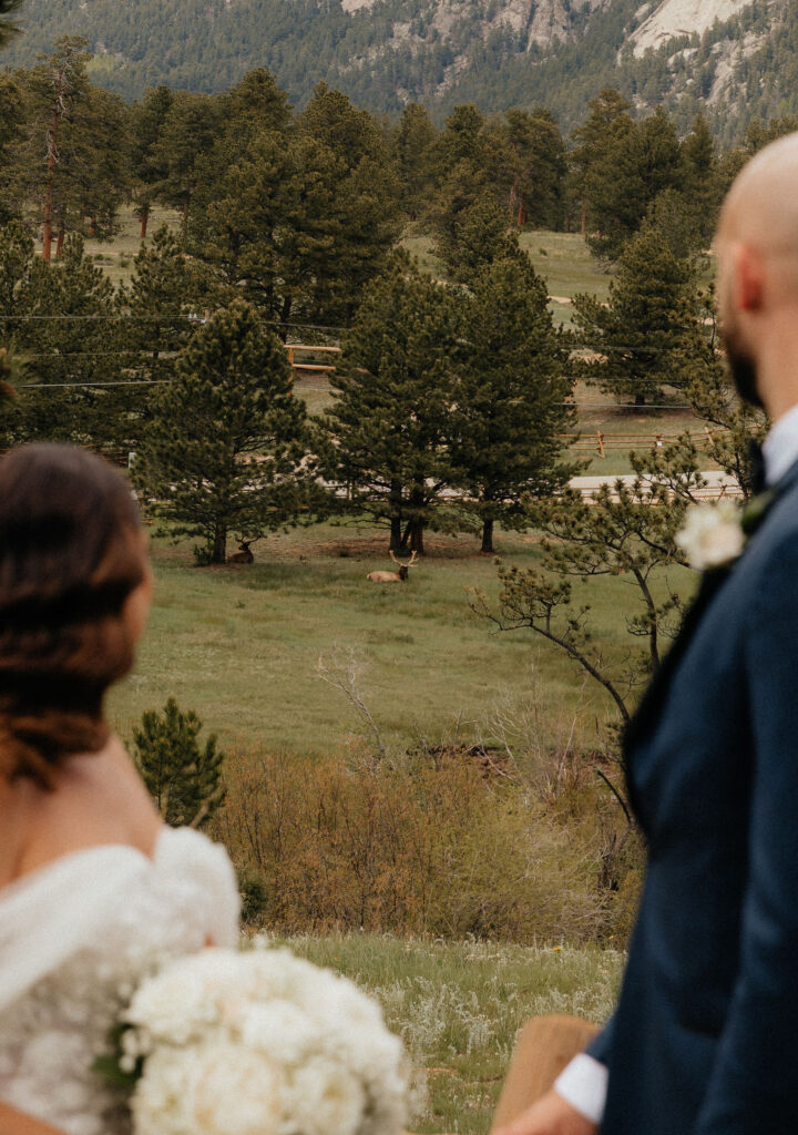 portrait of couple at estes park wedding venue mrs ferree photography