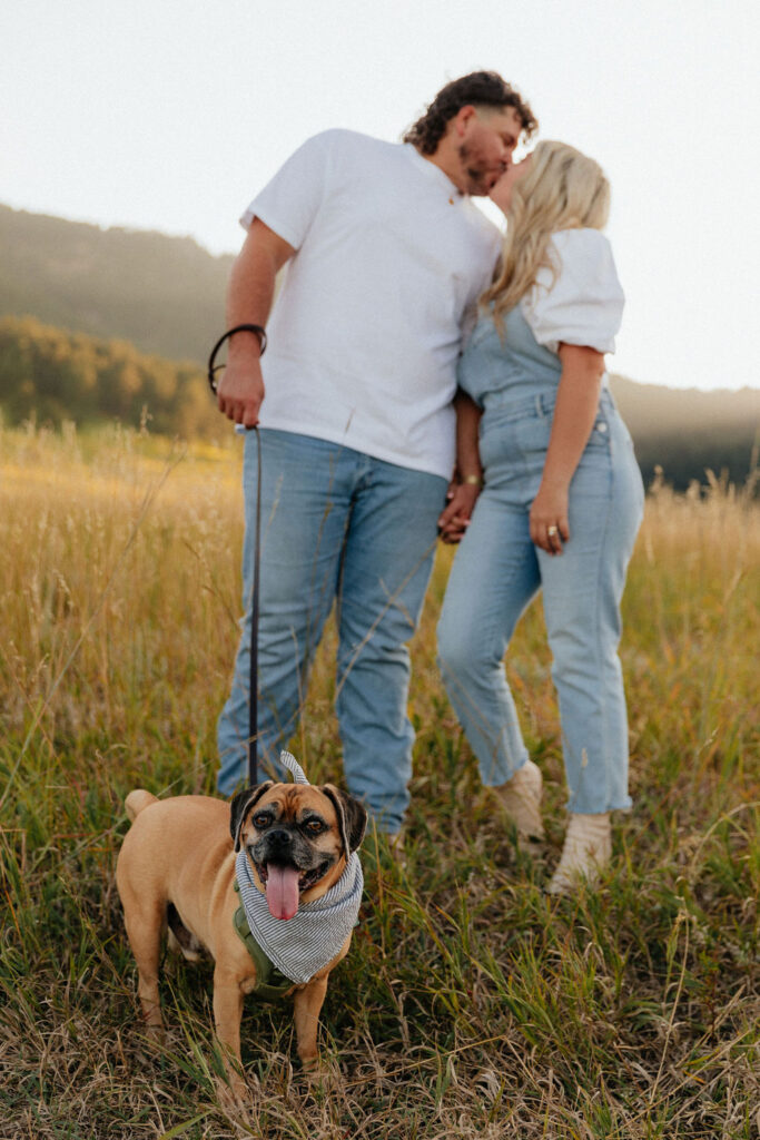 casual golden hour field engagement photos of the couple in white t-shirts and denim with their pug at Chautauqua Park