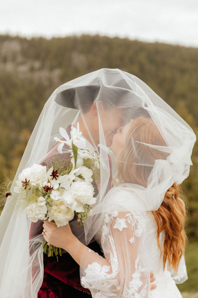 romantic bride and groom under the veil