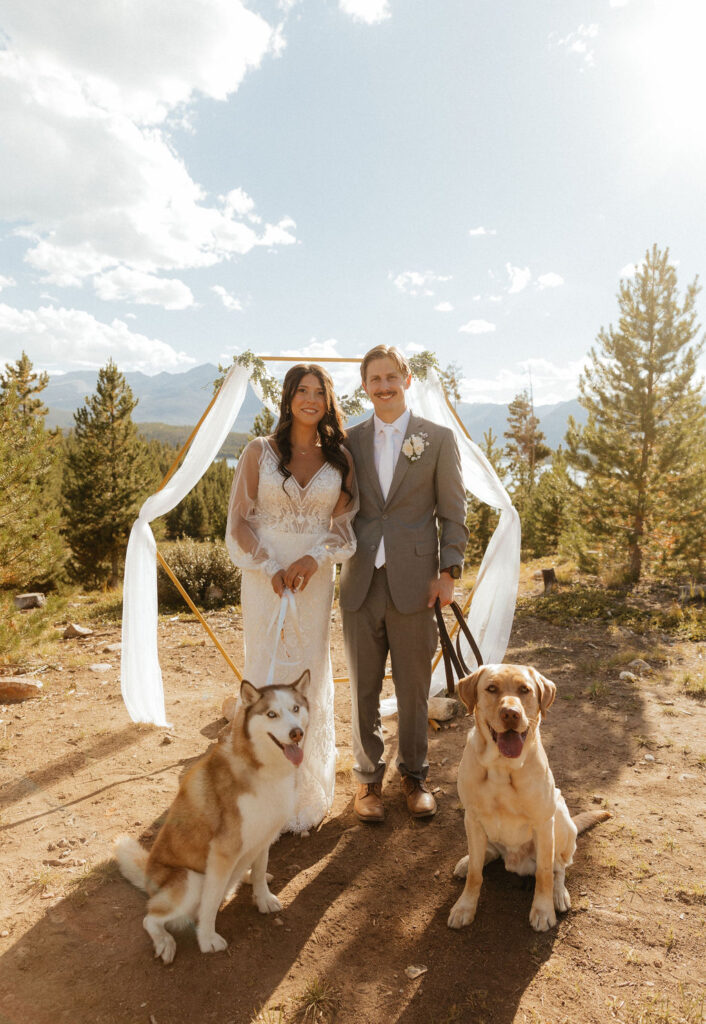 bride and groom posing with their dogs