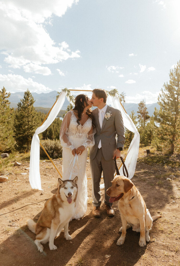 bride and groom posing with their dogs