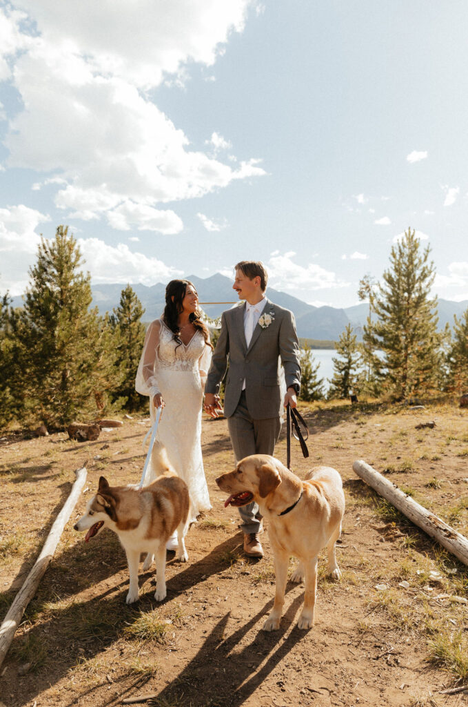 bride and groom posing with their dogs