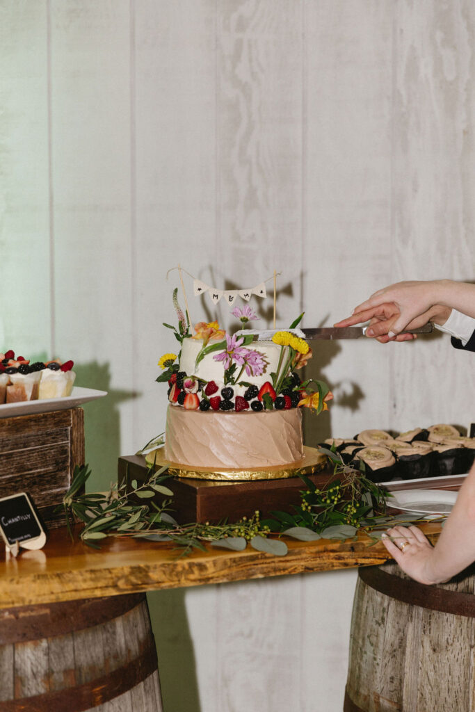 bride and groom cutting cake