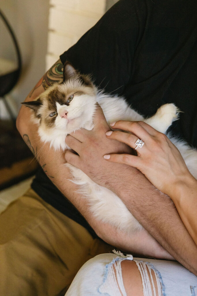 Close-up of engagement ring while couple holds their cat during cozy at-home engagement photos