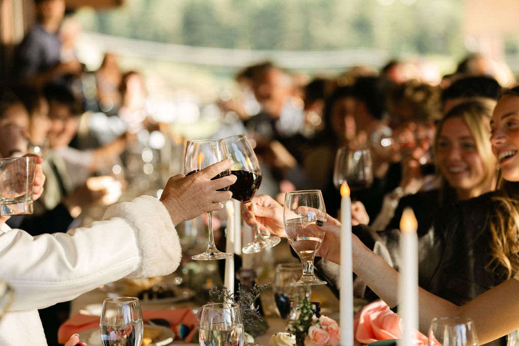 Guests candidly cheersing their wine during Perry Park outdoor reception toasts