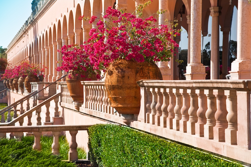 Large terracotta planters overflowing with bougainvillea line the pink arcade of the Ringling Museum courtyard, a romantic Sarasota wedding venue with Mediterranean architecture.