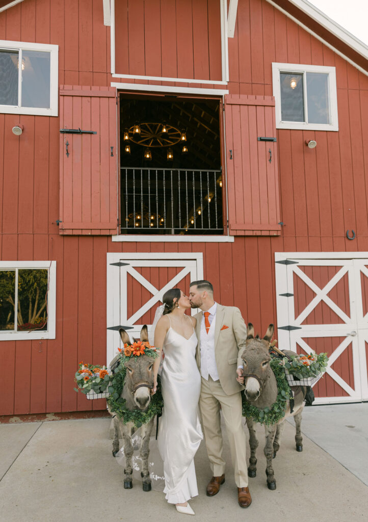 bride and groom posing with two mules in front of a red barn