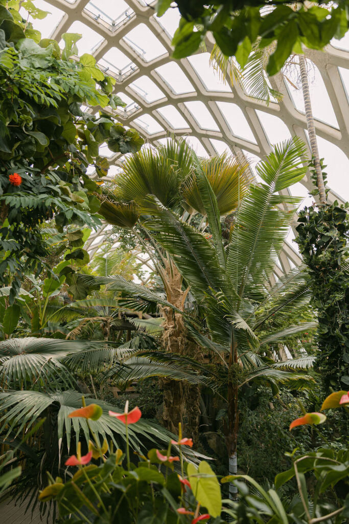 denver botanic gardens lush landscapes