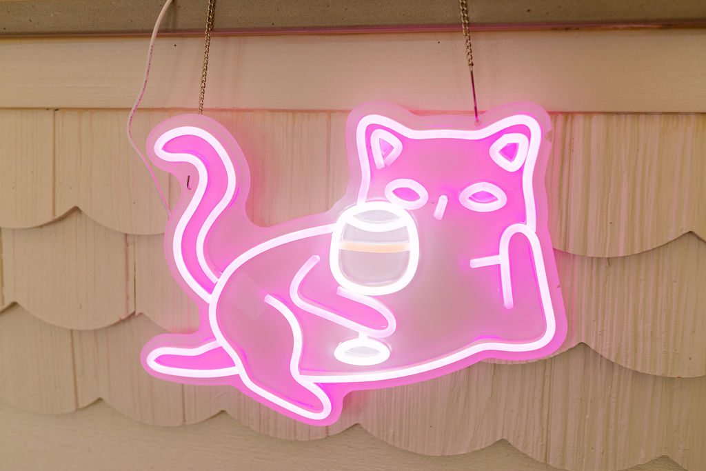 cat neon sign