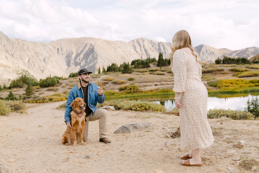 Surprise proposal on Loveland Pass with a dog and scenic mountain backdrop 