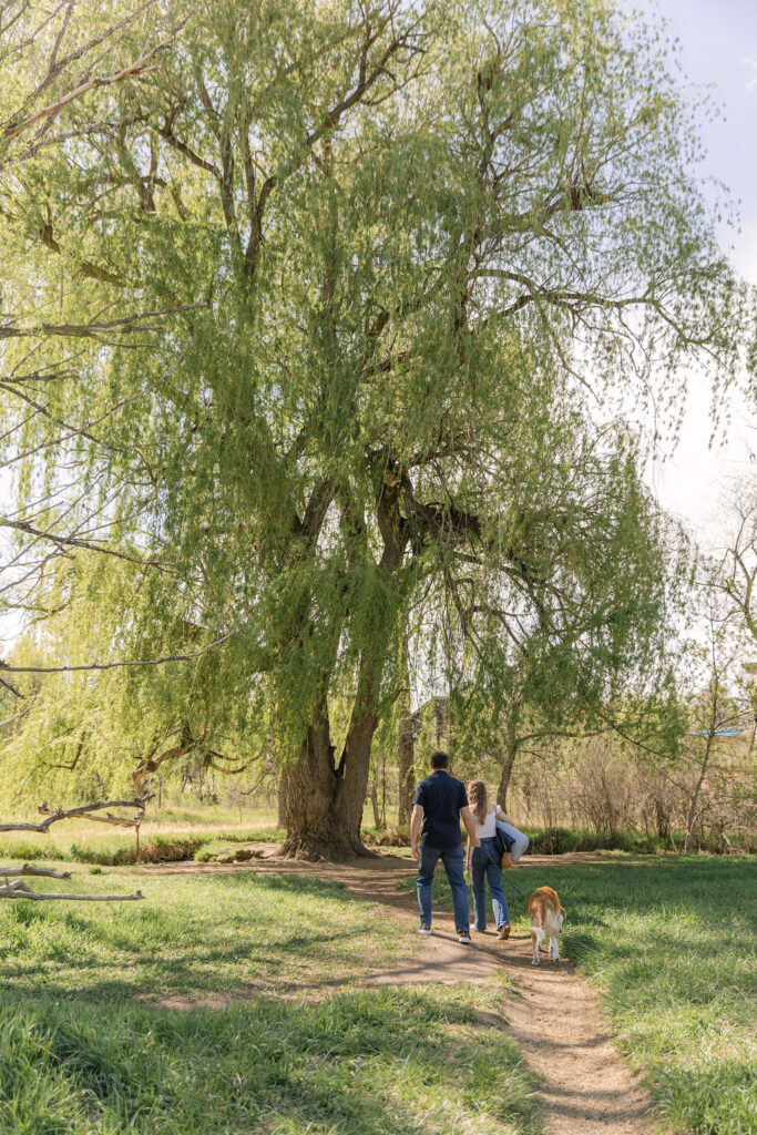Couple walking with their dog along Spring Canyon Trail under tall willow trees.