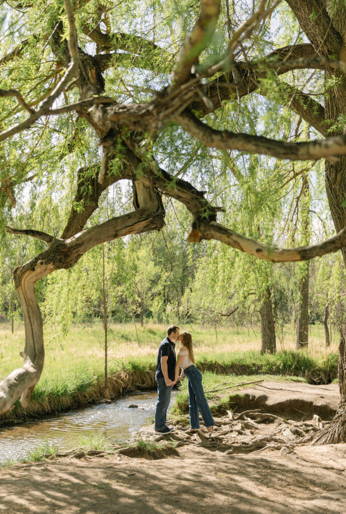 Couple standing under a large willow tree along the Spring Canyon Trail.