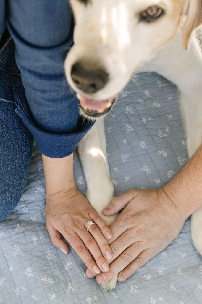 Close-up of hands resting on a picnic blanket with their dog included in the frame.