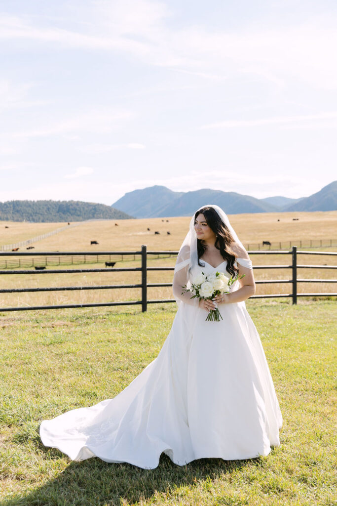 Bride standing in an open field at Spruce Mountain Ranch with Colorado mountain views behind her.
